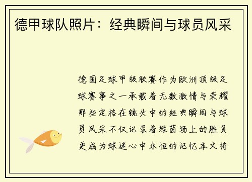德甲球队照片：经典瞬间与球员风采