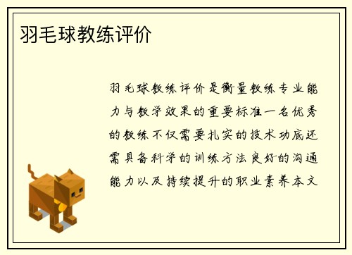 羽毛球教练评价